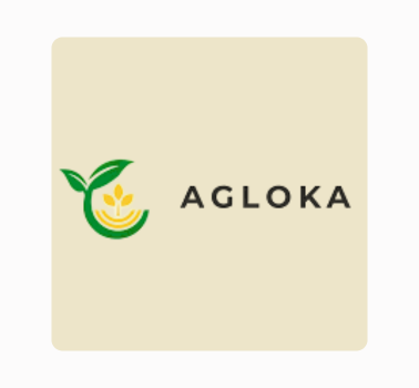 Agloka