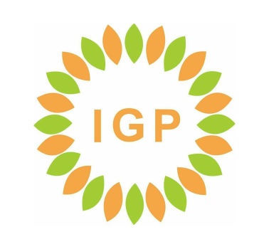 logo igp international