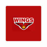 Wings Group