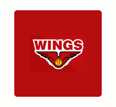 Wings Group