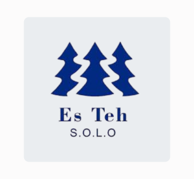 es teh solo