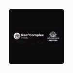Reef Complex Studio & Indonesian Reefers