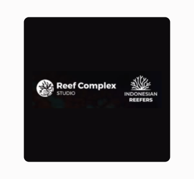 Reef Complex Studio & Indonesian Reefers