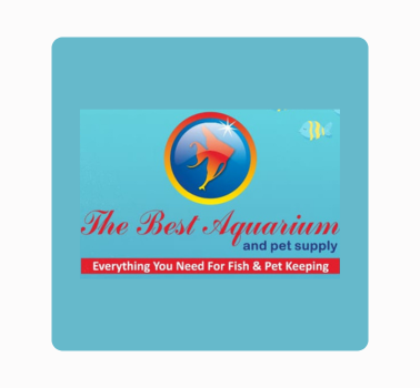 Lowongan Kerja di The Best Aquarium