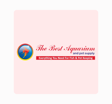 The Best Aquarium