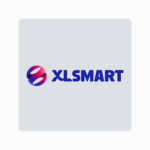 PT XLSMART