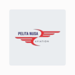 pelita nusa aviation